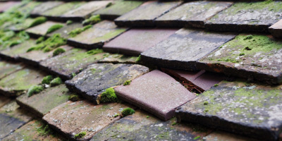 Jenkins Green roof repair costs